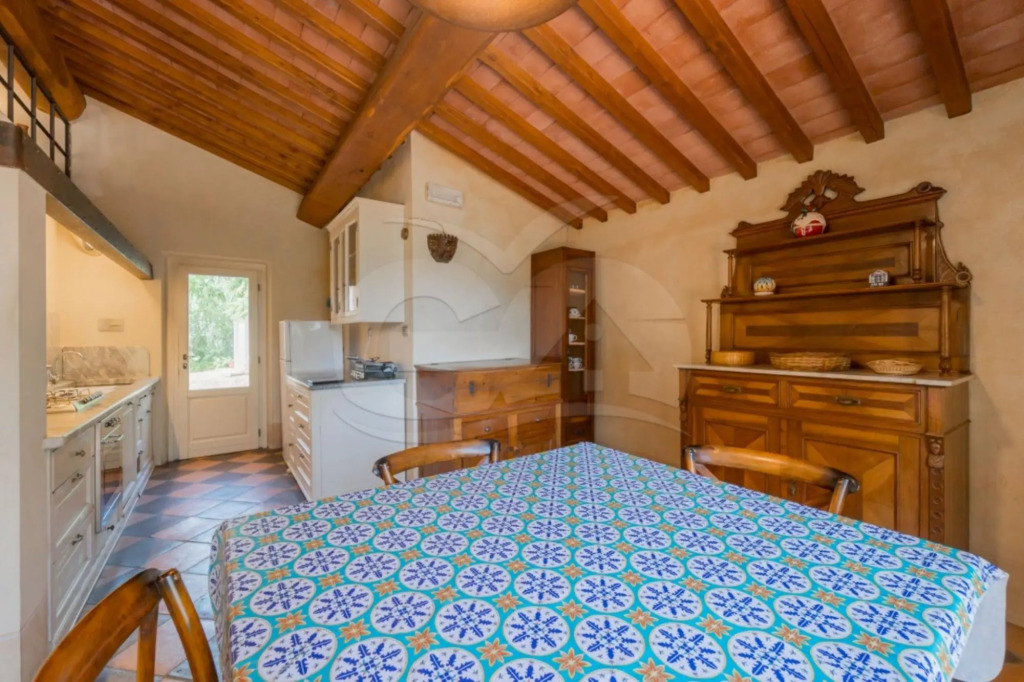 Elegant Villa Ivana 7/8 bed immersed in a green garden 600 meters from Reale beach-VILLA IVANA