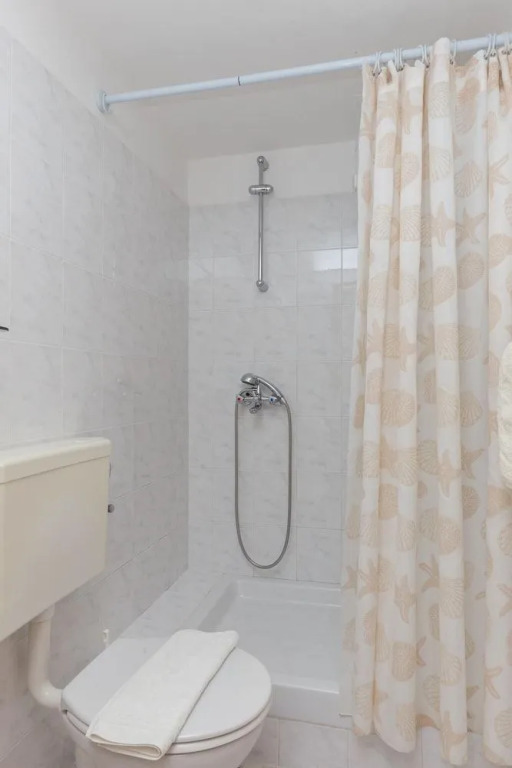 Apartments Miskovic