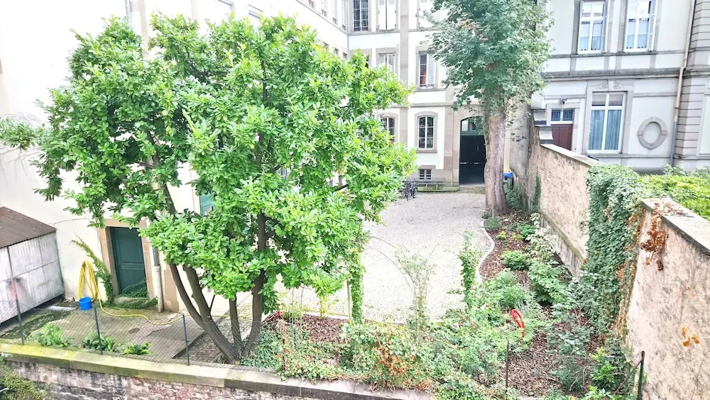 Must City Center Apartment