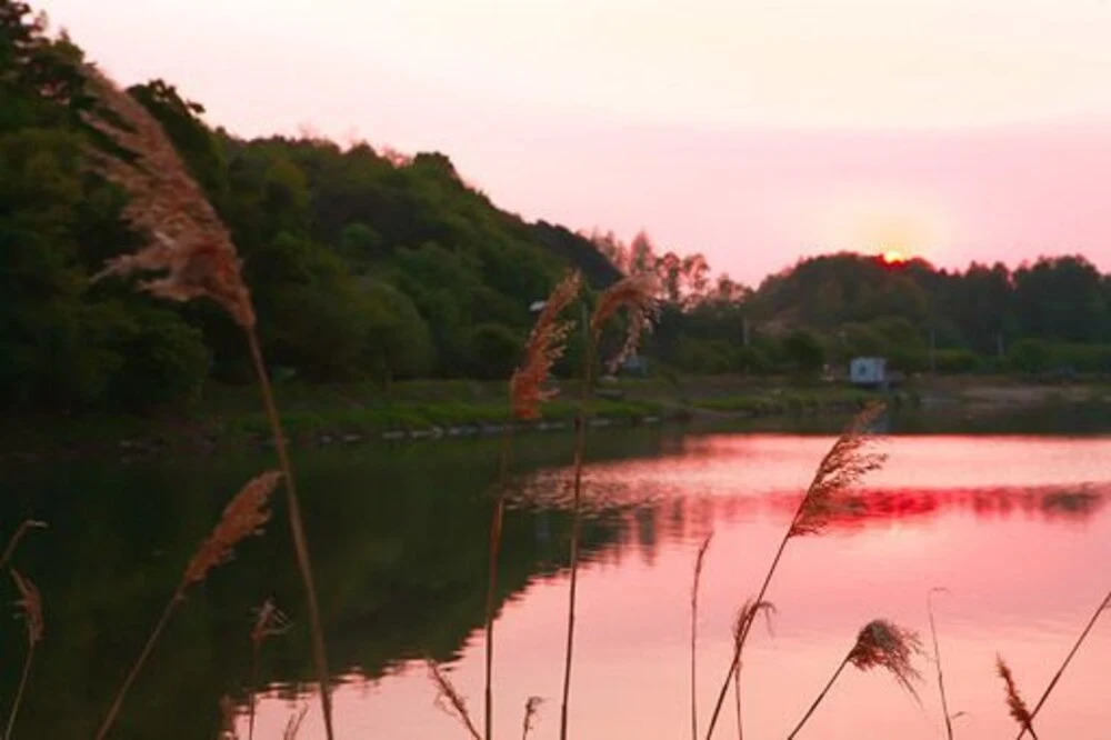 Yangpyeong Lago Pension