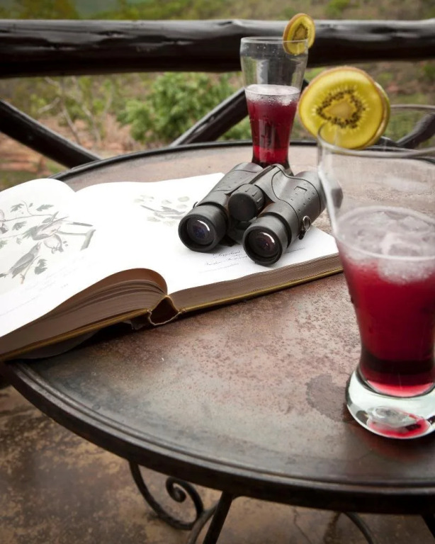 Izingwe Lodge