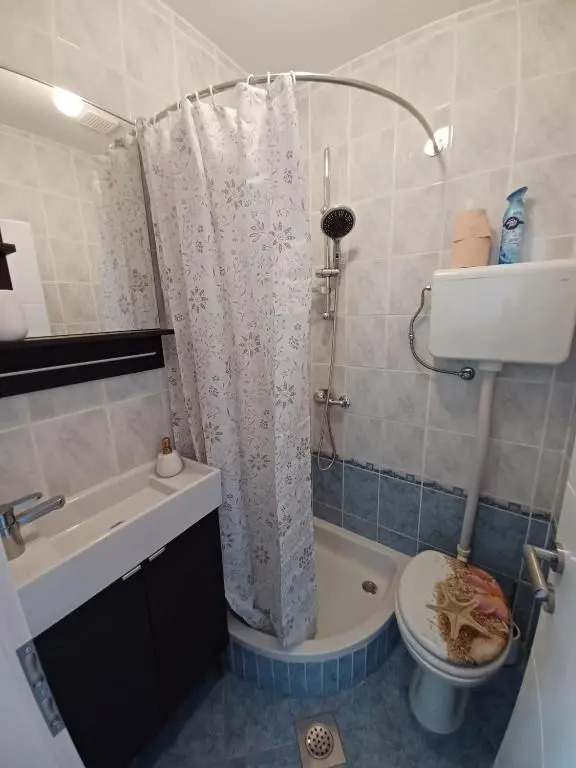 Apartments Sava