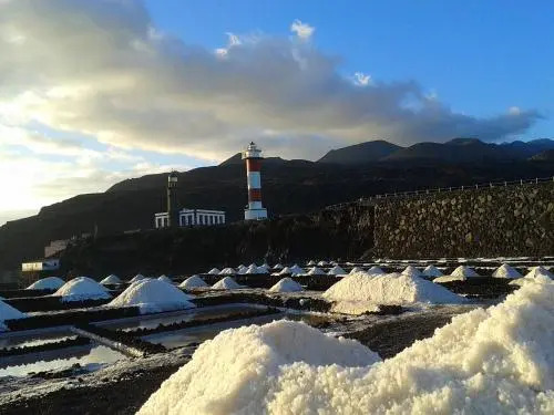 Finca La Morera