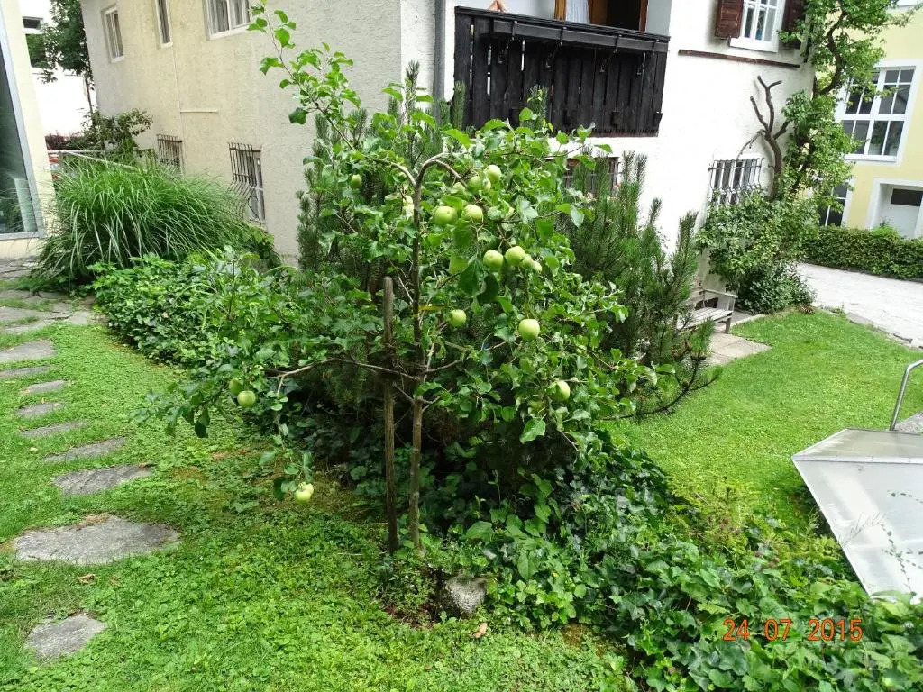 Apartment Ulli