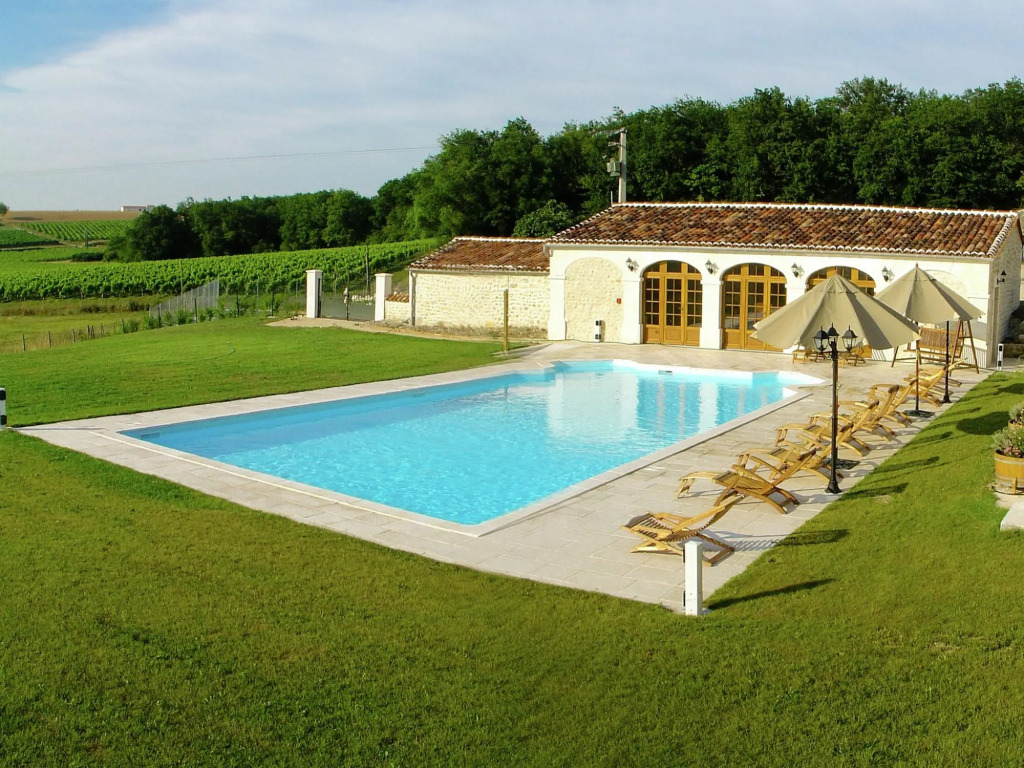 Luxorious Mansion in Saint-Preuil with Sauna