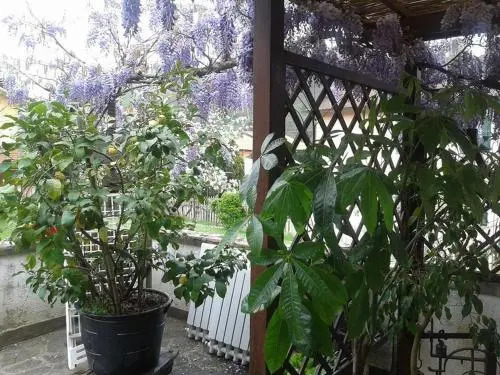 Il Ghiro B&B