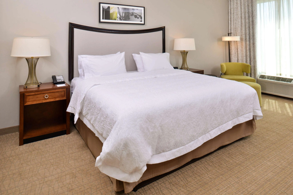 Hampton Inn & Suites Orlando/Downtown South - Medical Center