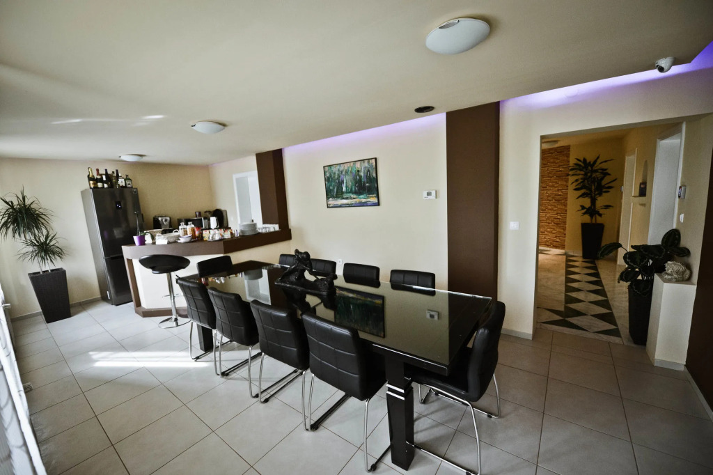 Villa Biser Dunava - Pool & River View