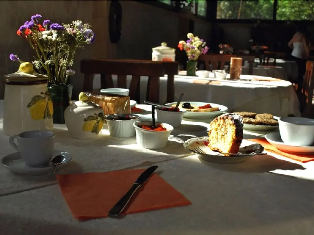 Agriturismo Il Sorriso Degli Ulivi