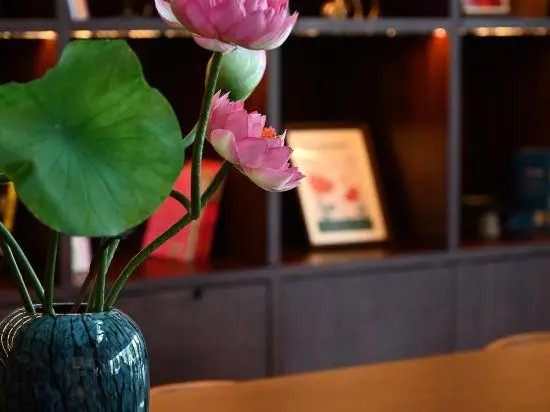Vienna International Hotel Suzhou University Town