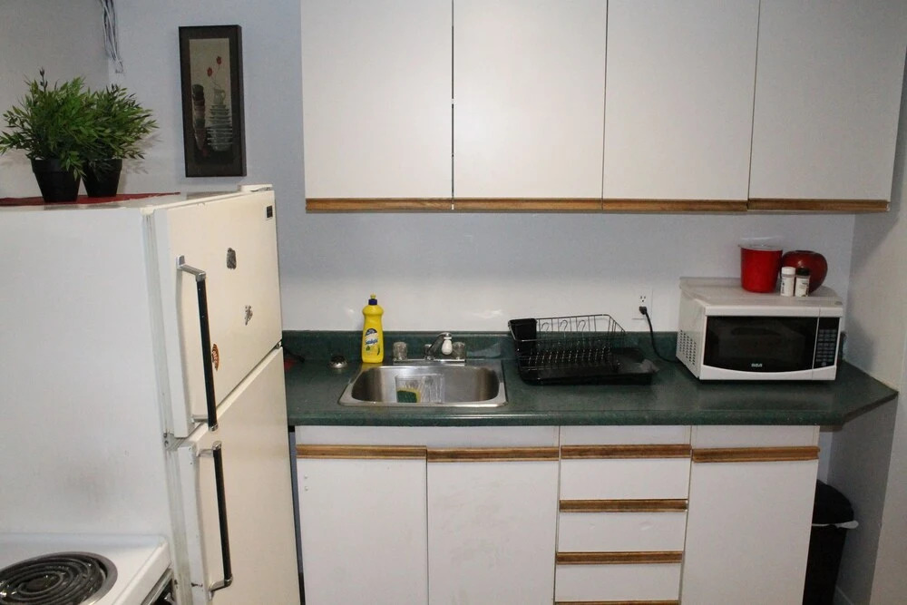 Adib Apartments - 1530 Gilles St, Unit 4 (Basement)