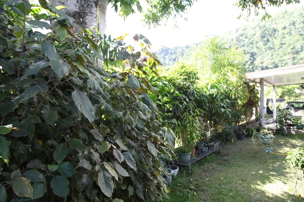 Marama Lodge Tahiti