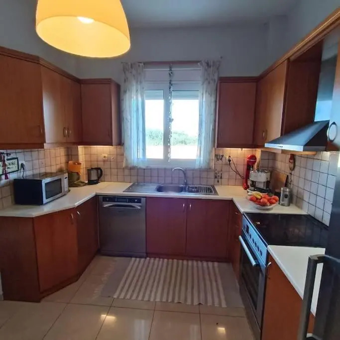 Drosoula house 3bdr 450 sqm yard