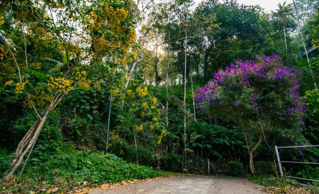 Summit Indriya Resort & Spa