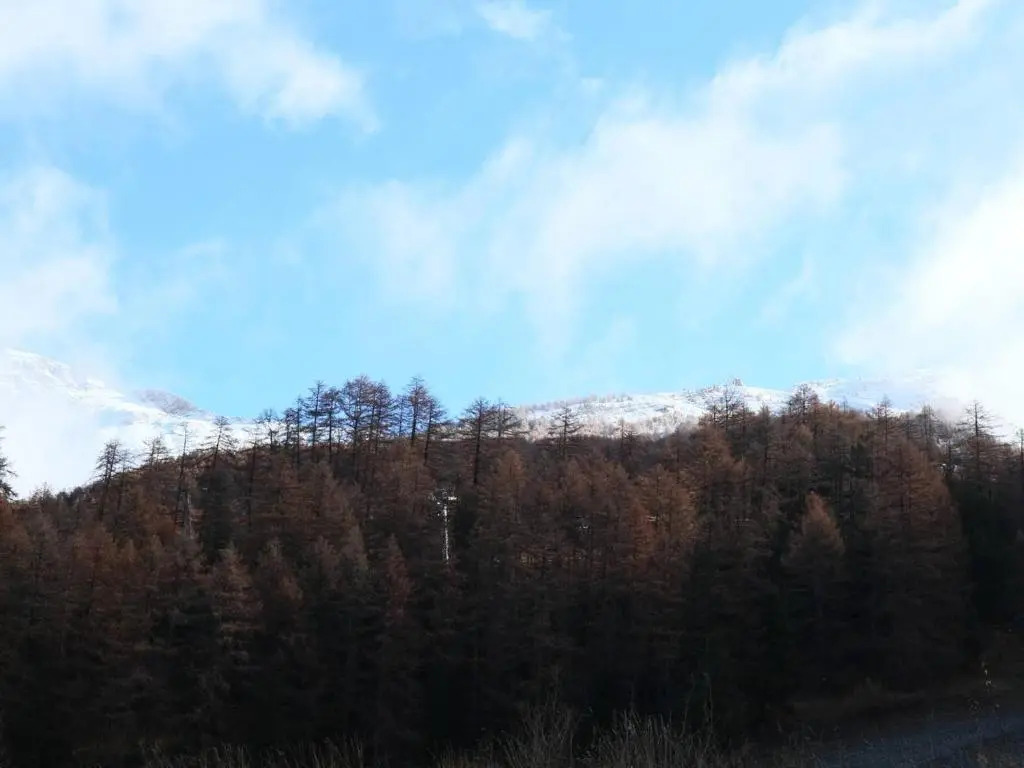 Chalet Les Orres, 5 pièces, 10 personnes - FR-1-322-65