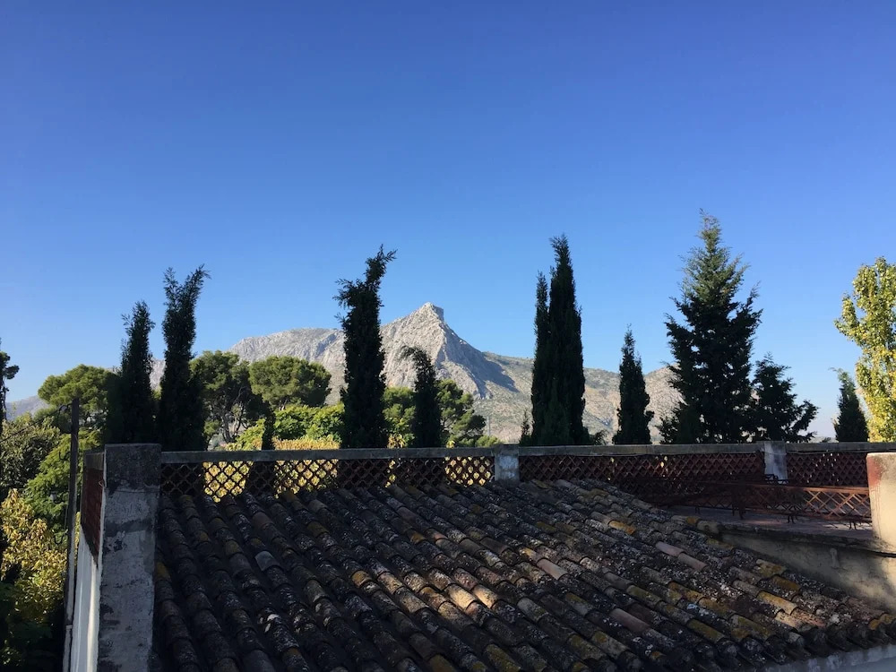 La Palmera Denia