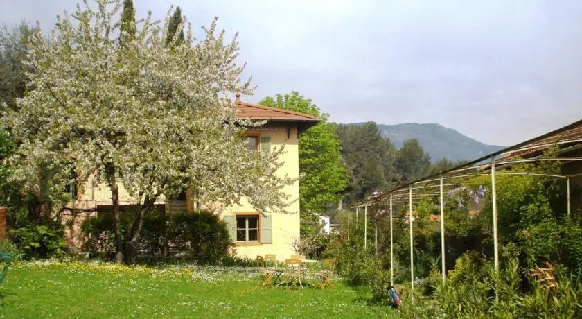 Les Cypres