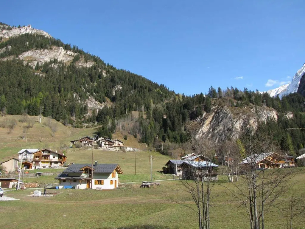 Appartement Pralognan-la-Vanoise, 3 pièces, 4 personnes - FR-1-464-83