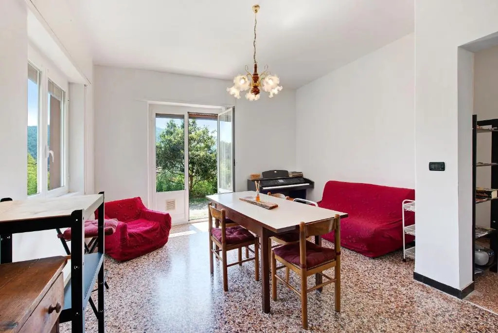 La liguria Tra Gli Ulivi 1