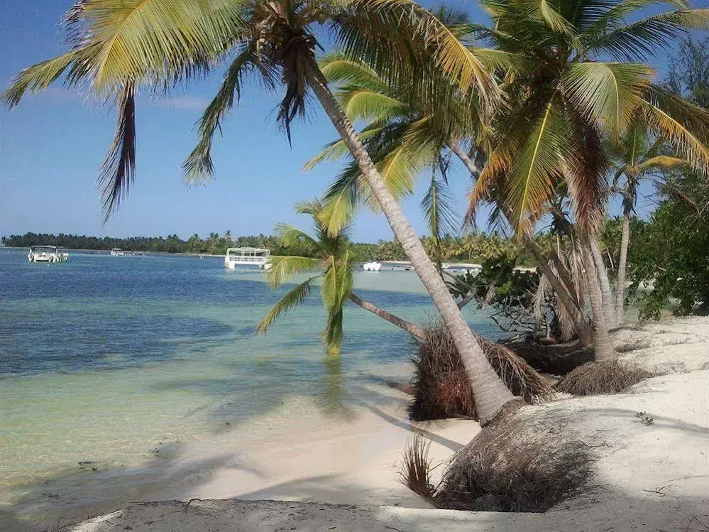 Los Cocos