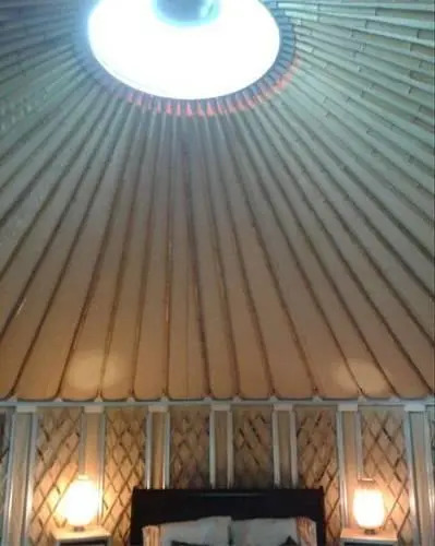Forgetmenot Yurt