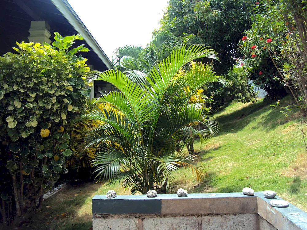 Friendship Garden Apartments