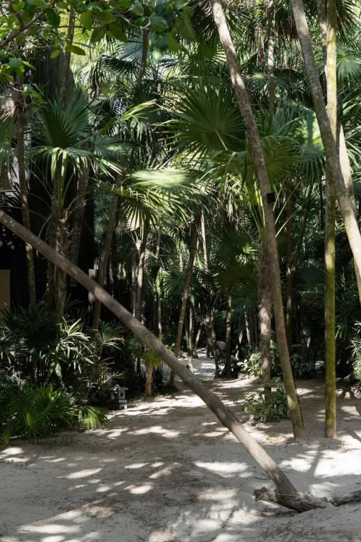 UMi Tulum