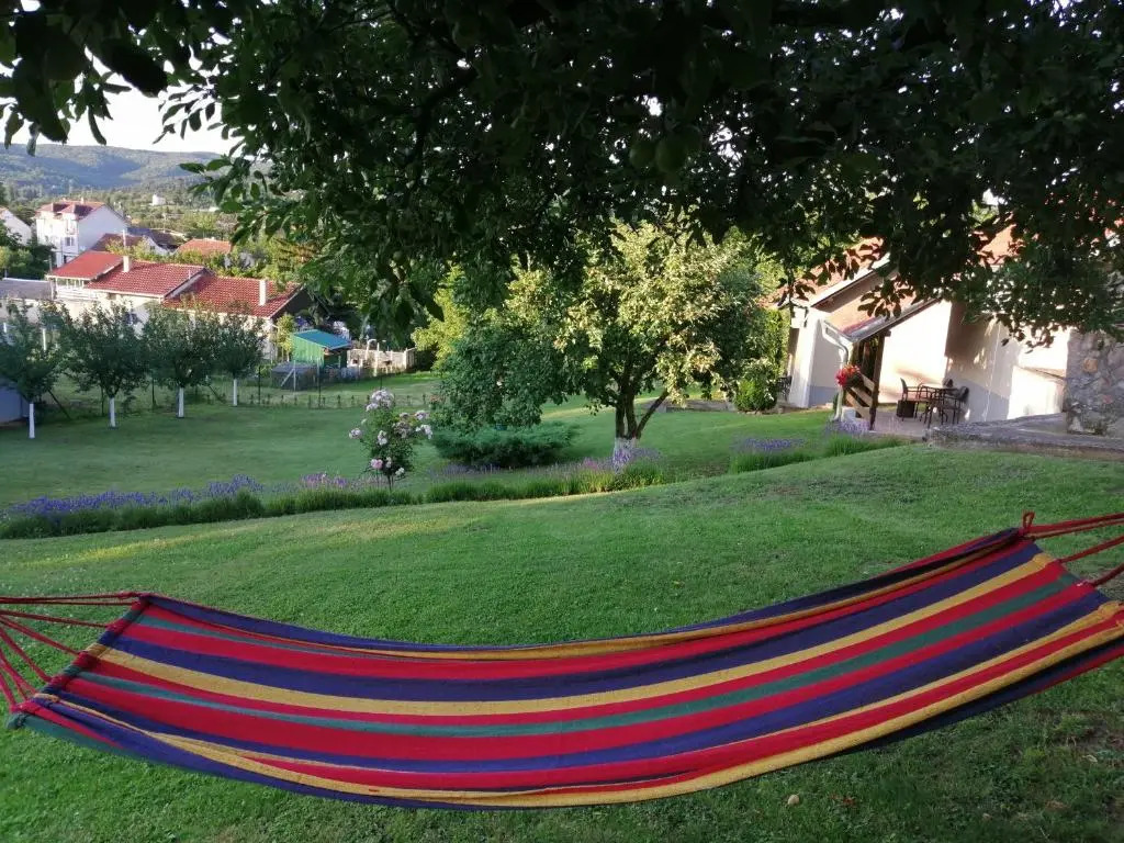 Garden 022