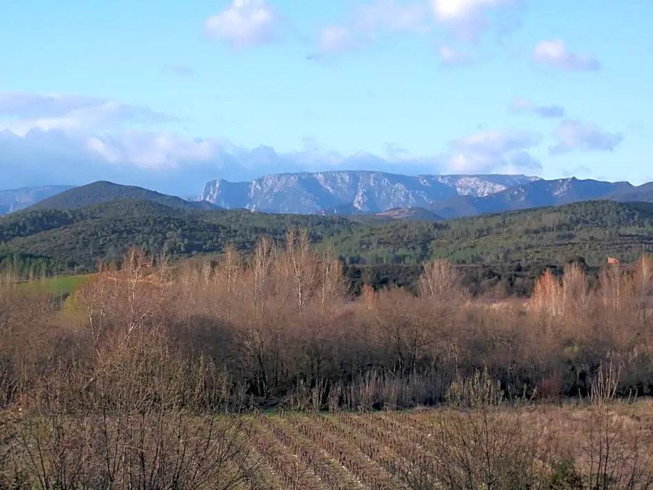 Sur la Bonnefooi