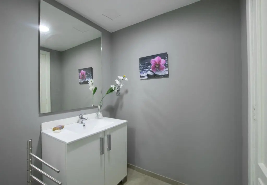 Light and bright apartment in central Valencia