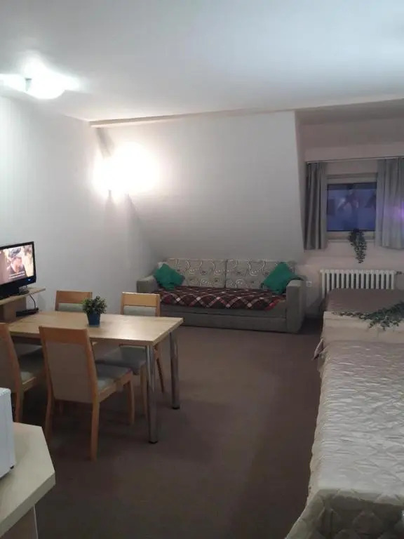 Koznik 404