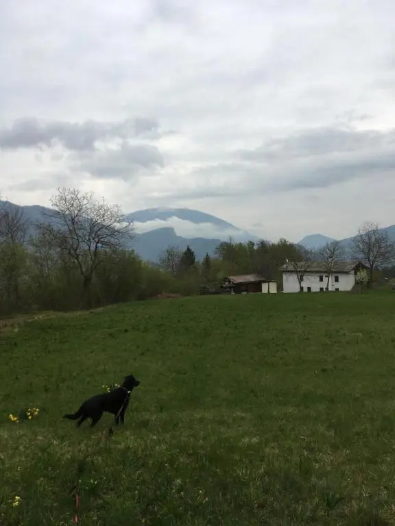 Chalet Valnevera