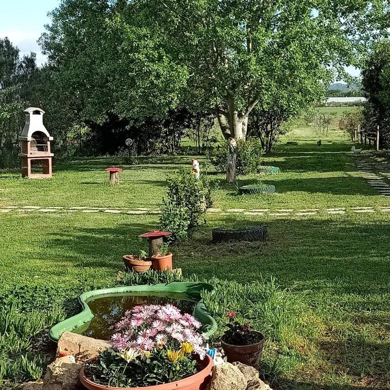 Agriturismo Il Cipresso