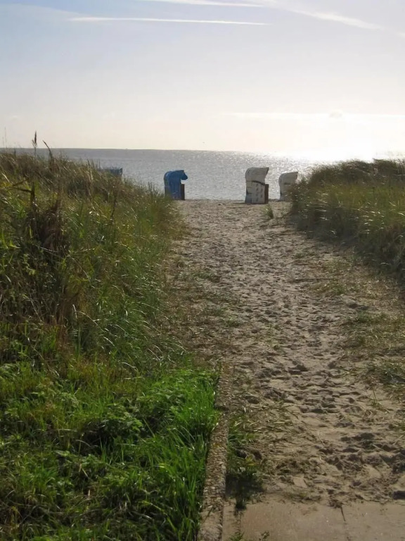 Möwennest 8