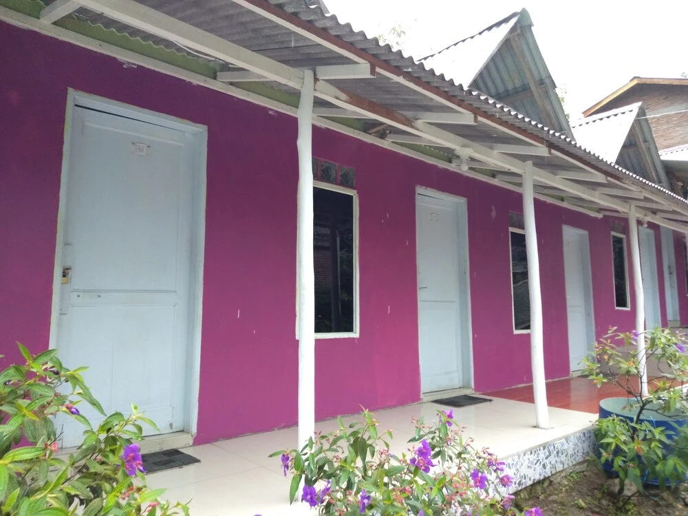 Penginapan Puncak DP