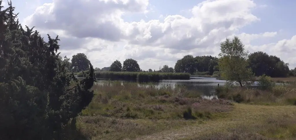 Drentse bungalow in natuur en rust
