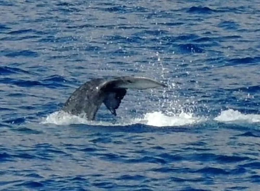 Pousada Marinheiro