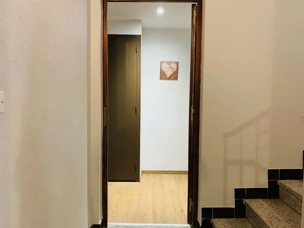 Tulipe Studio