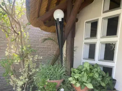 Birds Nest Guest House