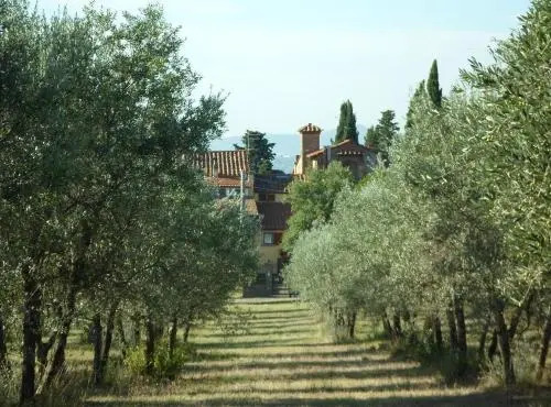 I 3 Cipressi
