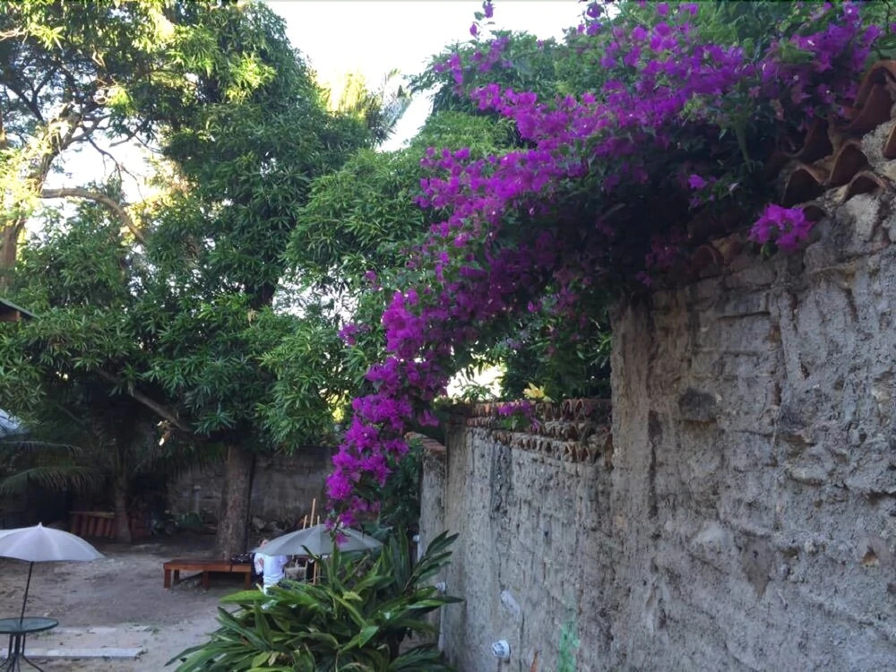 Canto dos Artistas Olinda