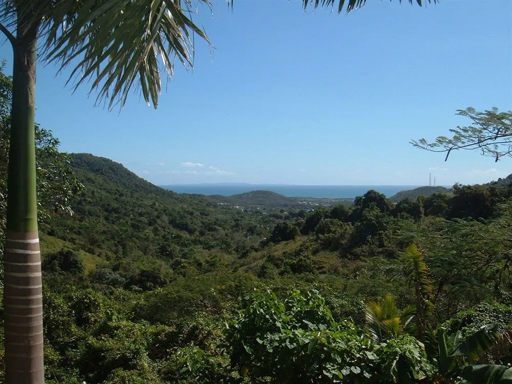 Ceiba Country Inn