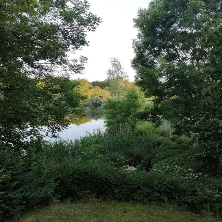 Ruegen Fewo 81