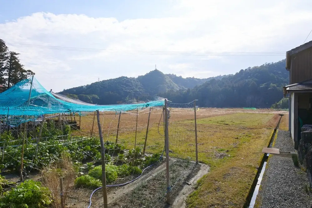 ~Rice Terrace~Kumano Kodo Ohechi Route