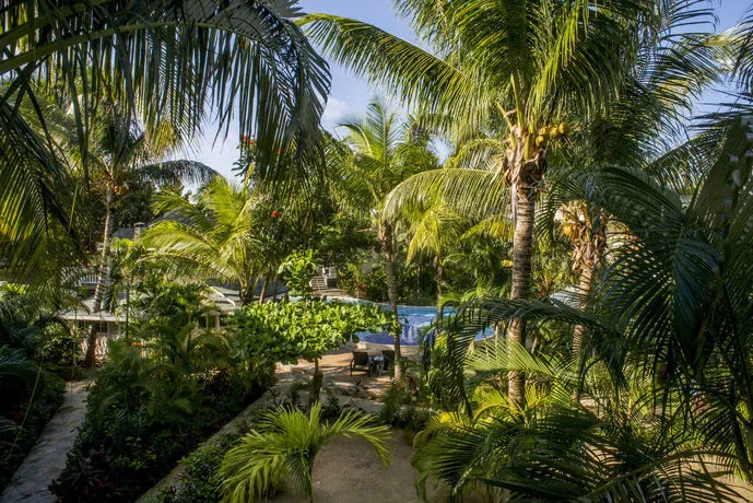 Paradise Oceanic Hotel
