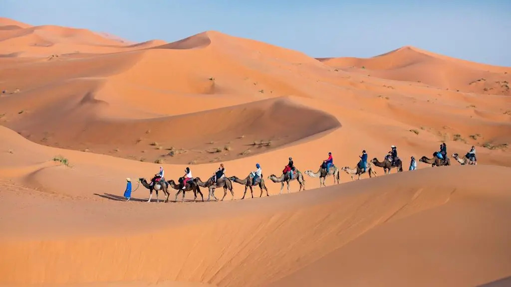 Dar Hassan Merzouga