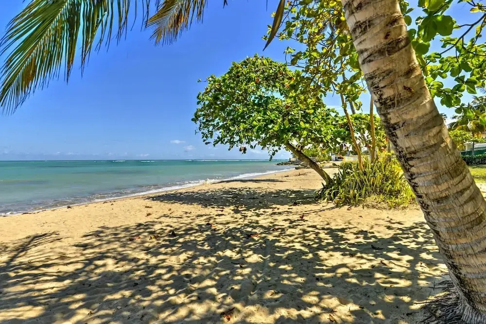Tropical Puerto Rico Penthouse: Waterpark On-site!