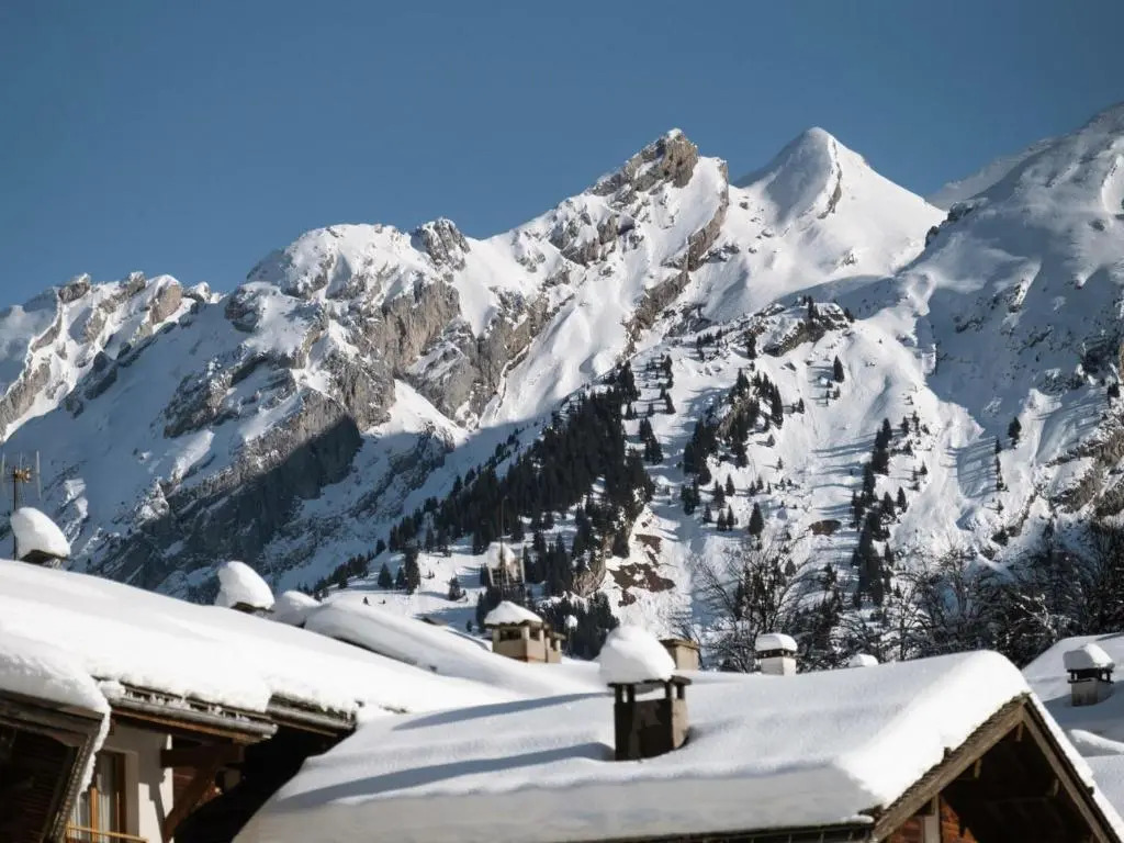 Appartement La Clusaz, 5 pièces, 8 personnes - FR-1-304-234