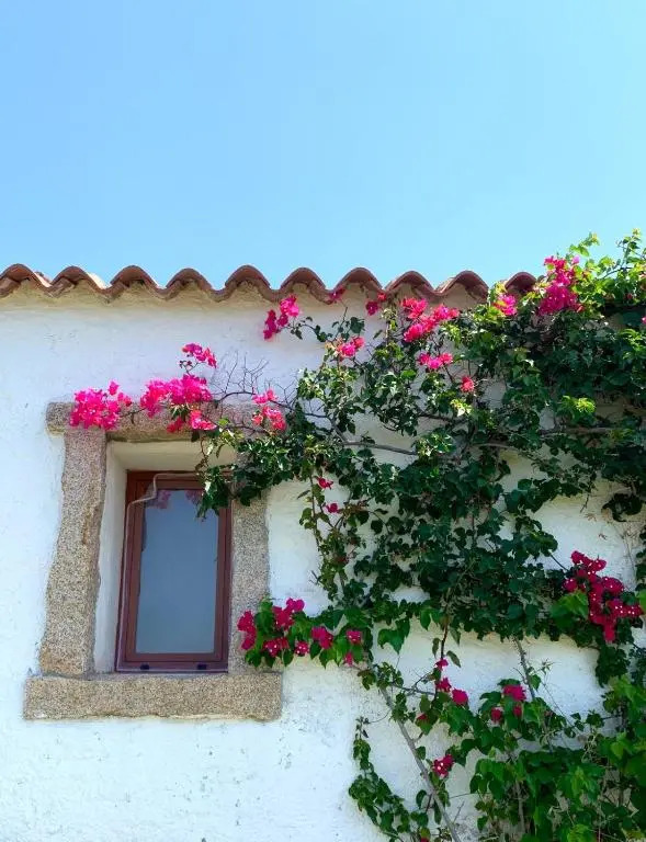 Susy house