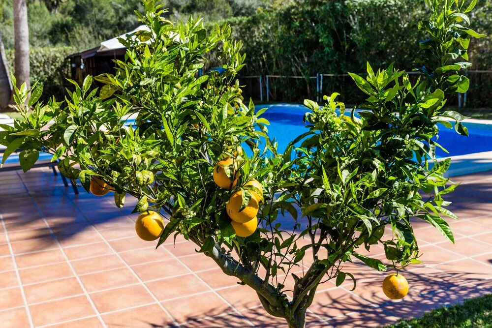 Villa South Pinosol Javea